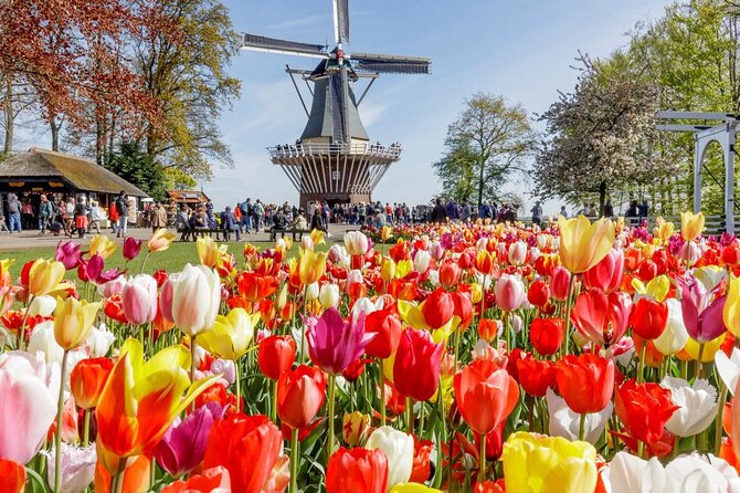 Private Tour Tulip Gardens (Keukenhof) and Dutch highlights - Key points at a glance
