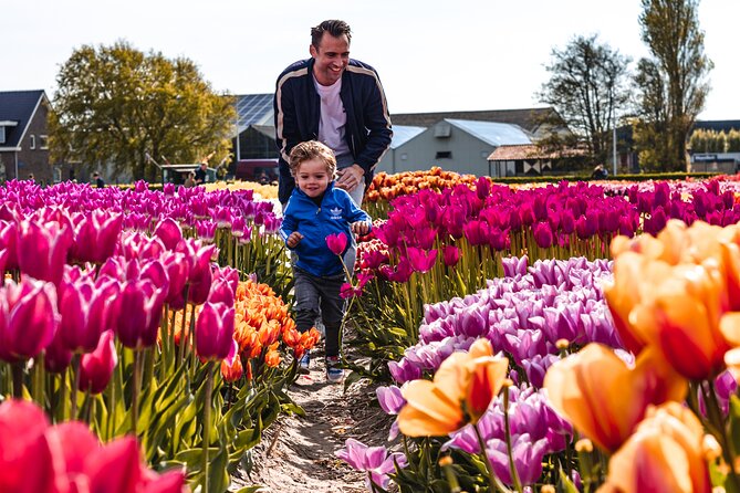Private Tulip Fields, Windmills and Cheese Tour from Amsterdam - Zaanse Schans packs several old industries into one hour