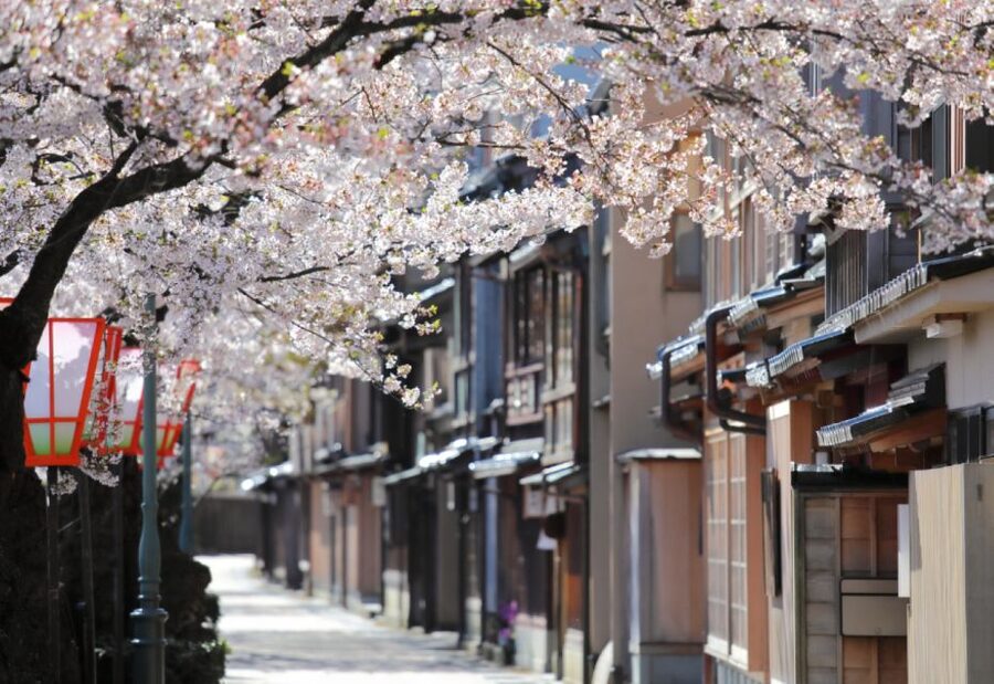 Private & Unique Kanazawa Cherry Blossom "Sakura" Experience - Choosing a Seasonal Bento in a Kanazawa Depachika