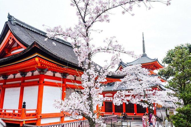 Private & Unique Kyoto Cherry Blossom "Sakura" Experience - Key points at a glance