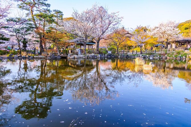 Private & Unique Kyoto Cherry Blossom "Sakura" Experience - Maruyama Park and the first taste of hanami