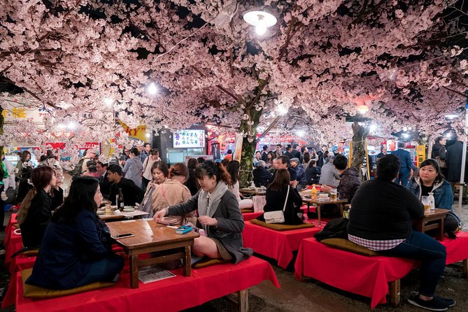 Private & Unique Kyoto Cherry Blossom "Sakura" Experience - Evening blossoms and the possibility of yozakura