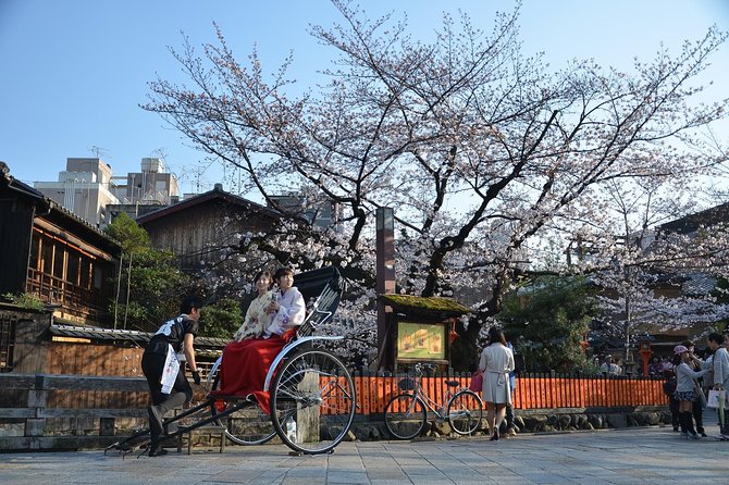 Private & Unique Kyoto Cherry Blossom "Sakura" Experience - Kyoto Gyoen brings a quieter change of pace