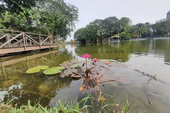 Private Walking Tour of the Shah Alam Lake Gardens with Pick Up and Lunch - Key points to know