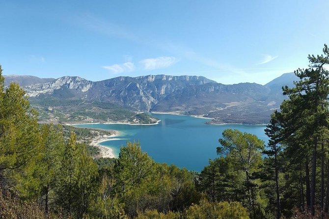Provence and Lavender - private & Guided Full Day Tour - Should you book Provence and Lavender?