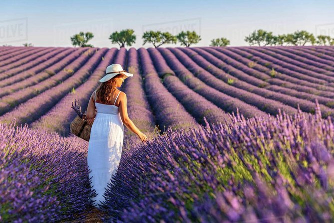 Provence and Lavender - private & Guided Full Day Tour - Lake Sainte-Croix and the Verdon setting