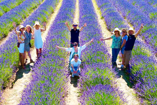 Provence Lavender Fields Tour from Aix-en-Provence - Why the full-day route is more than lavender