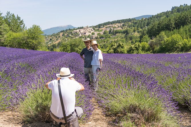 Provence Lavender Full Day Tour from Avignon - Key points before you book