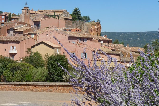 Provence Lavender Full Day Tour from Avignon - What the $174.98 price buys you