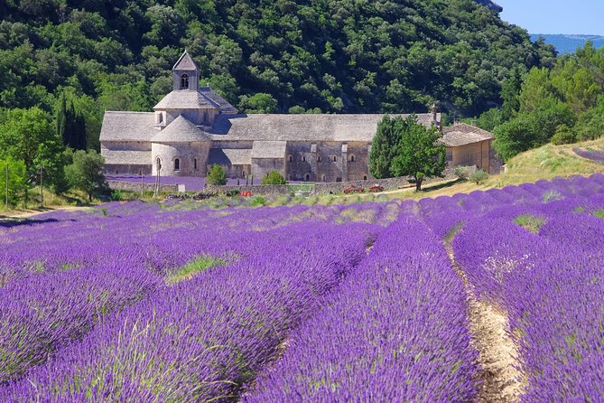 Provence Lavender Full Day Tour from Avignon - Luberon villages, lavender fields, and a useful market stop
