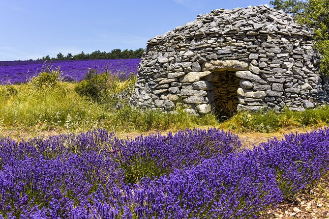 Provence Shared Half Day Lavender Tour from Aix en Provence - From Aix-en-Provence to the Plateau de Valensole