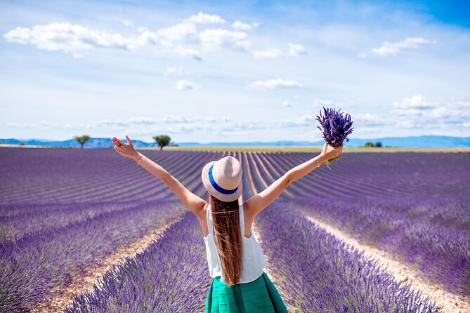 Provence Shared Half Day Lavender Tour from Aix en Provence - What you see on the lavender road