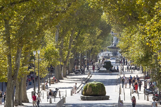 Provence, Vineyards and Lavender Fields Private Day Trip - Leaving Nice early for Saint-Maximin-la-Sainte-Baume
