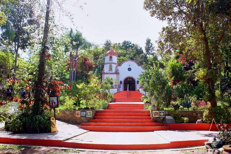 Puerto Vallarta: Botanical Gardens, Distillery & Coffee Tour - Leaving Puerto Vallarta for the forest