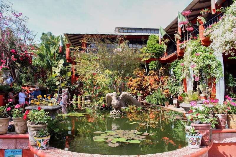 Puerto Vallarta: Botanical Gardens, Distillery & Coffee Tour - Expect more than easy garden paths
