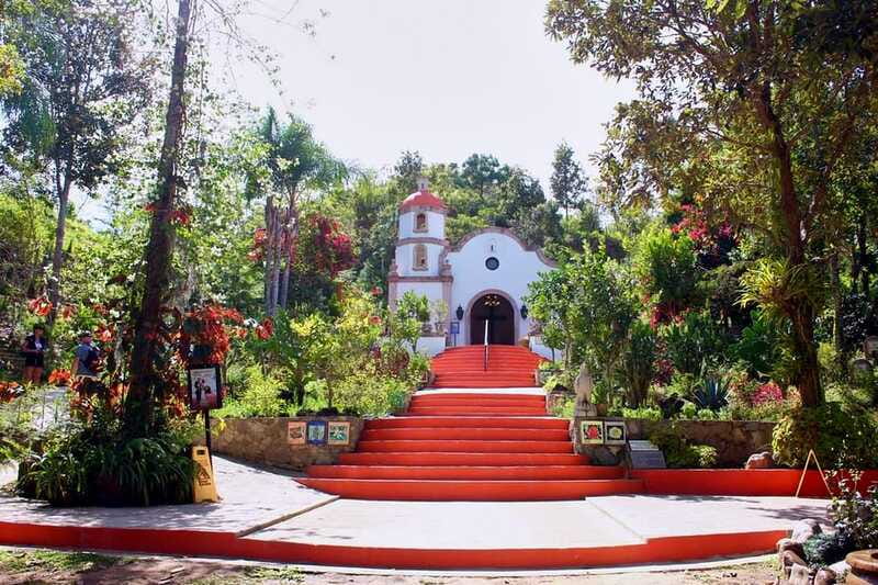 Puerto Vallarta: Botanical Gardens, Distillery & Coffee Tour - Who will enjoy this outing most?