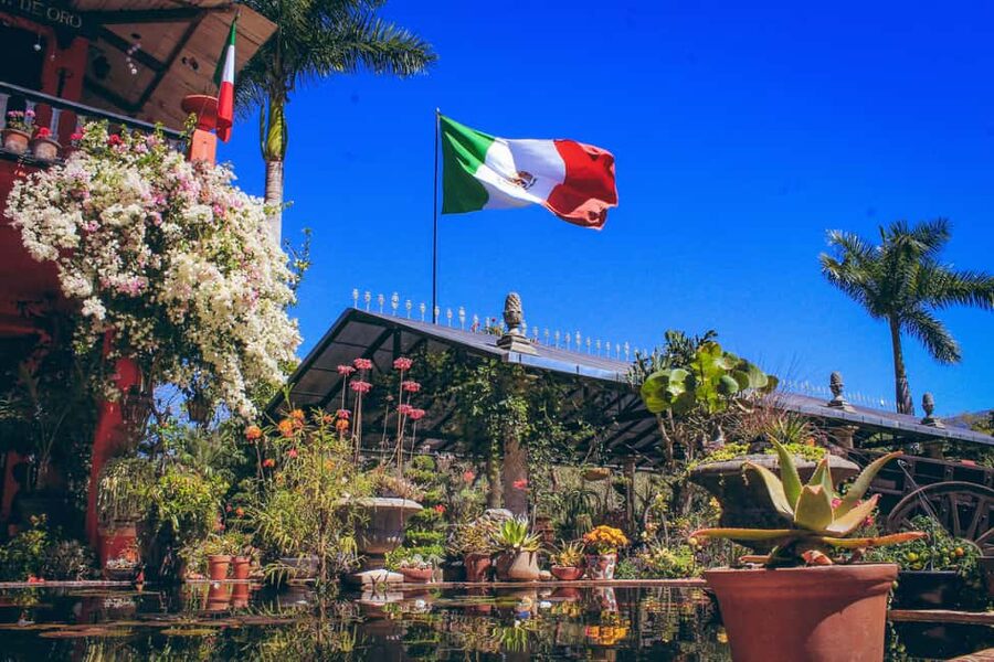 Puerto Vallarta: Botanical Gardens, Distillery & Coffee Tour - Practical advice before you book