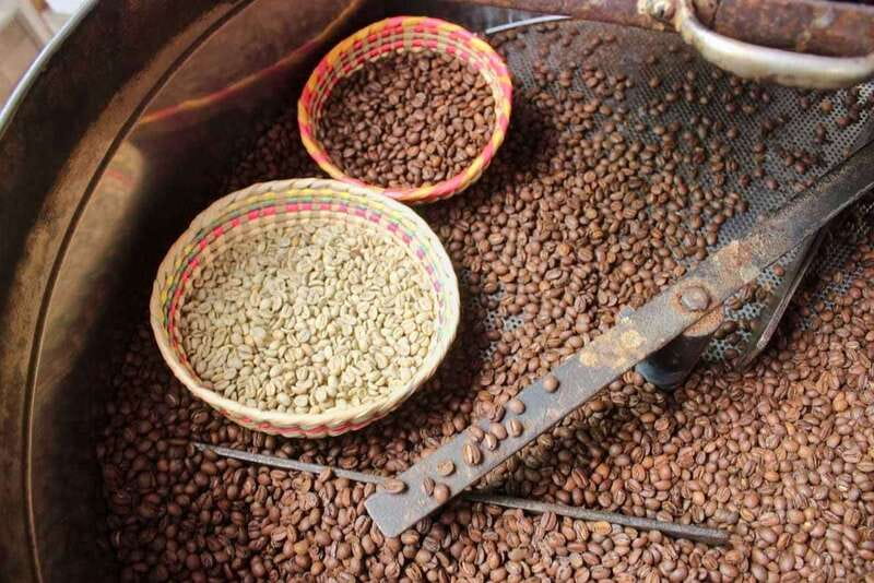 Puerto Vallarta: Botanical Gardens, Distillery & Coffee Tour - Walking the Puerto Vallarta Botanical Gardens
