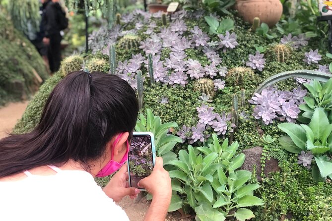 Puerto Vallarta Botanical Gardens Hiking Tour - Puerto Vallarta’s garden and river in one day
