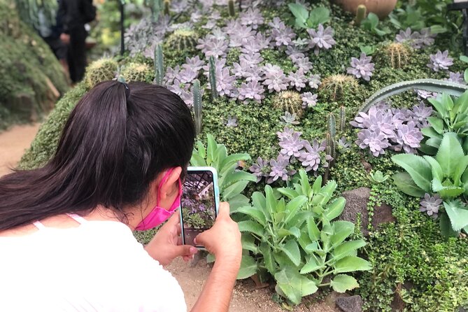 Puerto Vallarta Botanical Gardens Hiking Tour - Rescued monkeys, macaws, and other animals