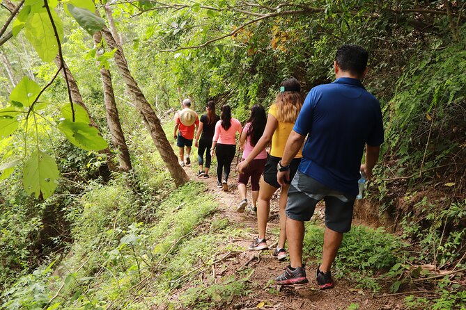 Puerto Vallarta Botanical Gardens Hiking Tour - Tequila tasting and the extra costs