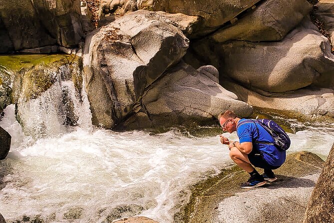 Puerto Vallarta Botanical Gardens Hiking Tour - Who will get the most from this tour