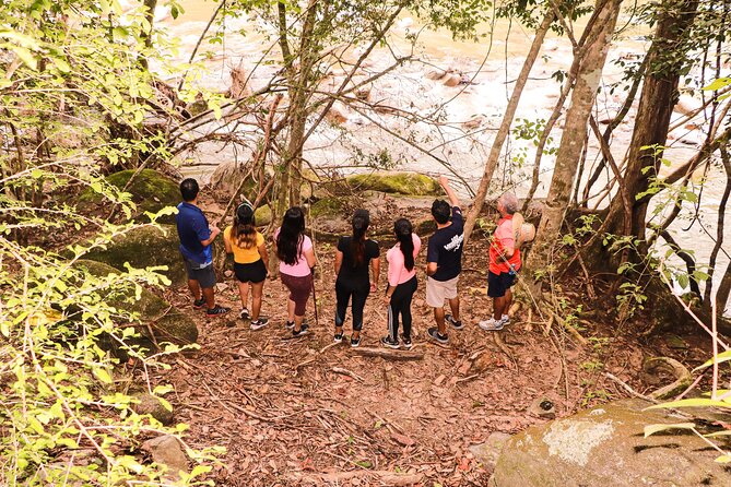 Puerto Vallarta Botanical Gardens Hiking Tour - Practical preparation for a six-hour outing