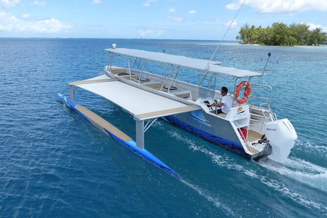 Raiatea-Tahaa Snorkeling in our beautiful Coral Garden - Food, drinks, and what to bring