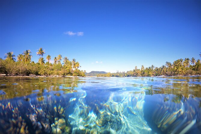 Raiatea-Tahaa Snorkeling in our beautiful Coral Garden - Who will enjoy this tour most