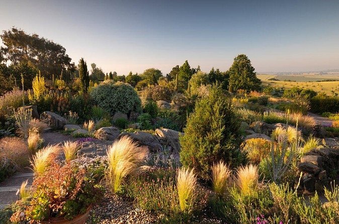 RHS Garden Hyde Hall - Spend time in the Hilltop Garden