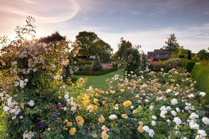 RHS Garden Hyde Hall - Take a barefoot pause on the lawns