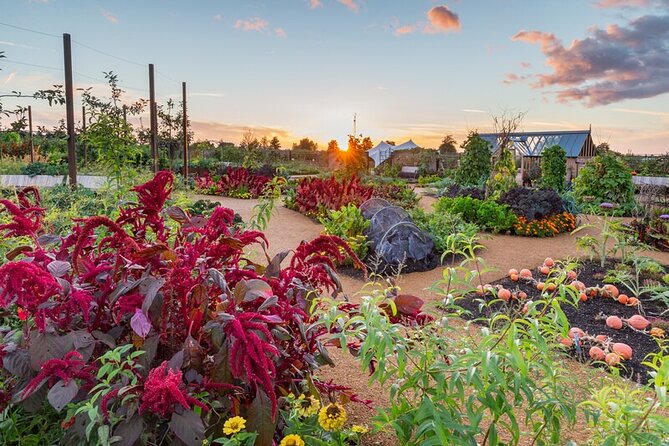 RHS Garden Wisley Entry Ticket - Exploring the greenhouse plant collections