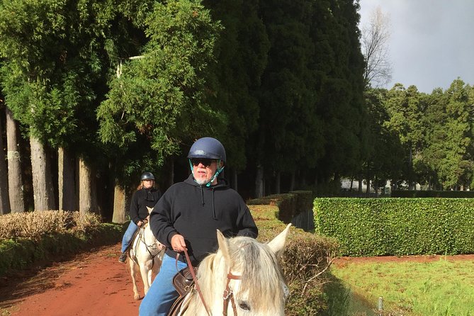 ride a volcano - go to the gardens in the woods - Key points to know before booking