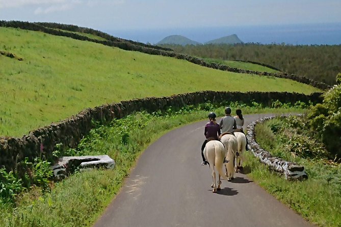 ride a volcano - go to the gardens in the woods - The 467-meter viewpoint and south-coast views