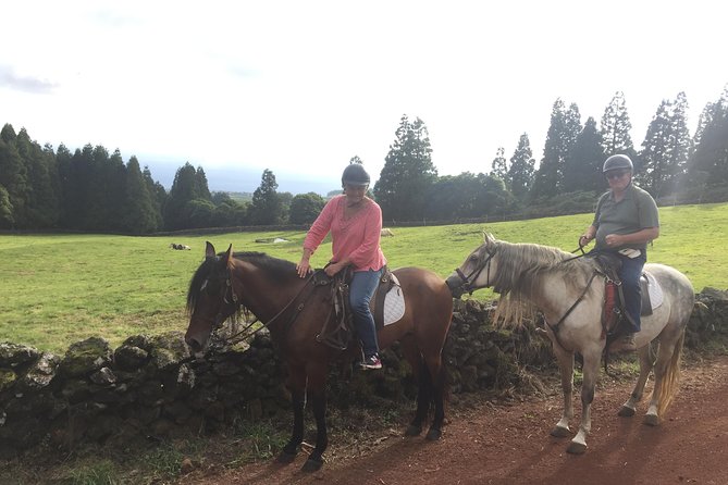 ride a volcano - go to the gardens in the woods - Timing, weather, and practical planning