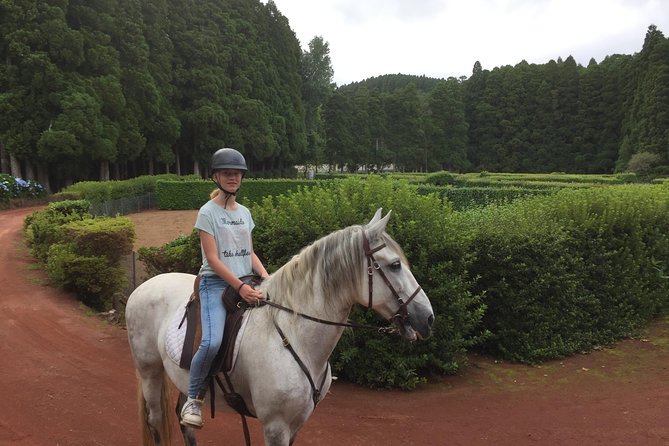 ride a volcano - go to the gardens in the woods - What the ride feels like from the start