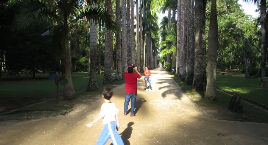 Rio: Botanical Garden, Tijuca Forest, and Parque Lage Tour - Parque Lage and the mansion beneath Christ the Redeemer