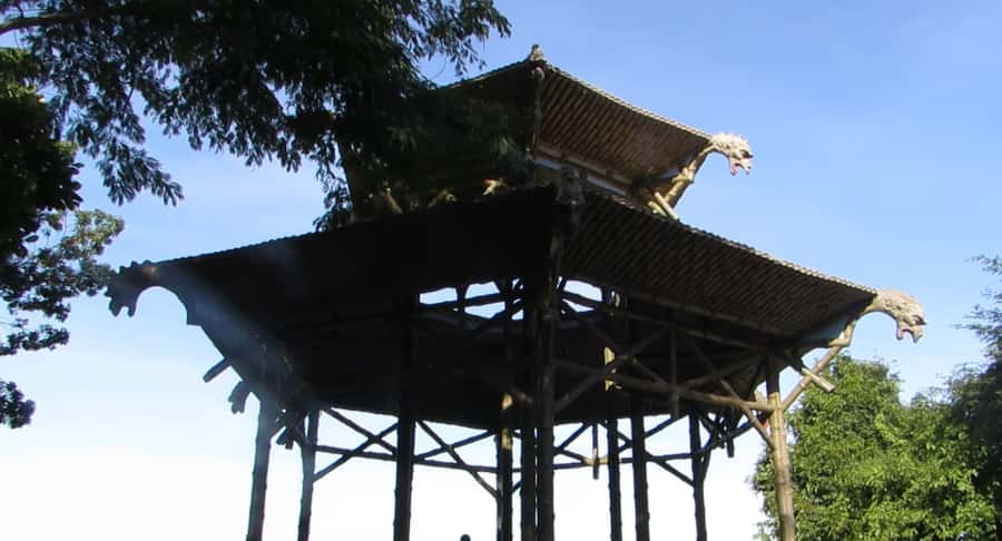 Rio: Botanical Garden, Tijuca Forest, and Parque Lage Tour - Guides, transport, and pickup details