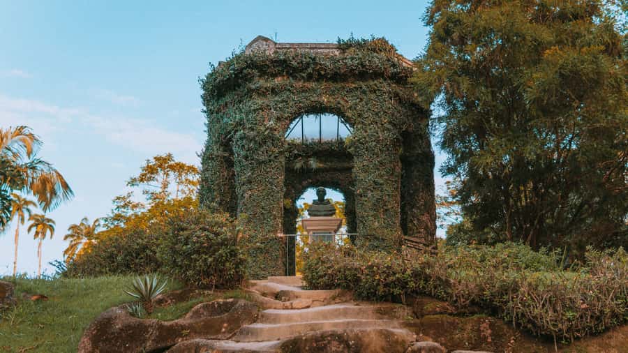 Rio de Janeiro: 4-Hour Botanical Garden & Tijuca Forest Tour - Why this Rio nature tour works
