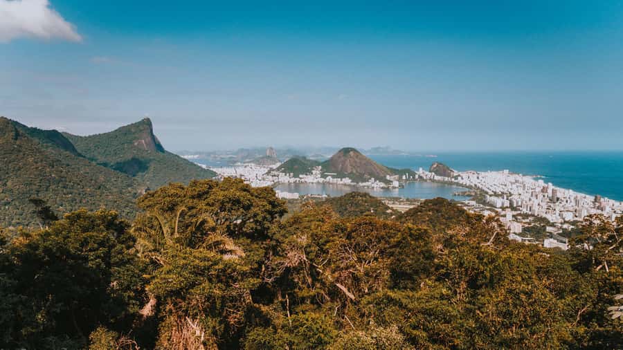 Rio de Janeiro: 4-Hour Botanical Garden & Tijuca Forest Tour - Guides, vehicles, and the pace of the day