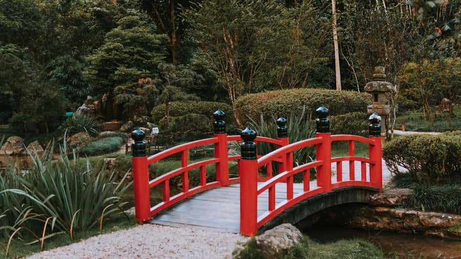 Rio de Janeiro: 4-Hour Botanical Garden & Tijuca Forest Tour - Is $51 a fair price?