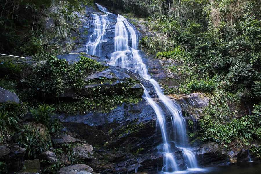 Rio de Janeiro: Botanical Garden & Tijuca Forest Guided Tour - Why This Rio Nature Tour Works
