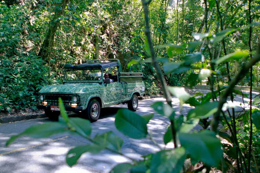 Rio de Janeiro: Botanical Garden & Tijuca Forest Guided Tour - Riding Into Tijuca Forest by Convertible Jeep