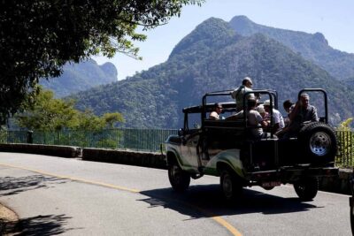 Rio de Janeiro: Botanical Garden & Tijuca Forest Guided Tour