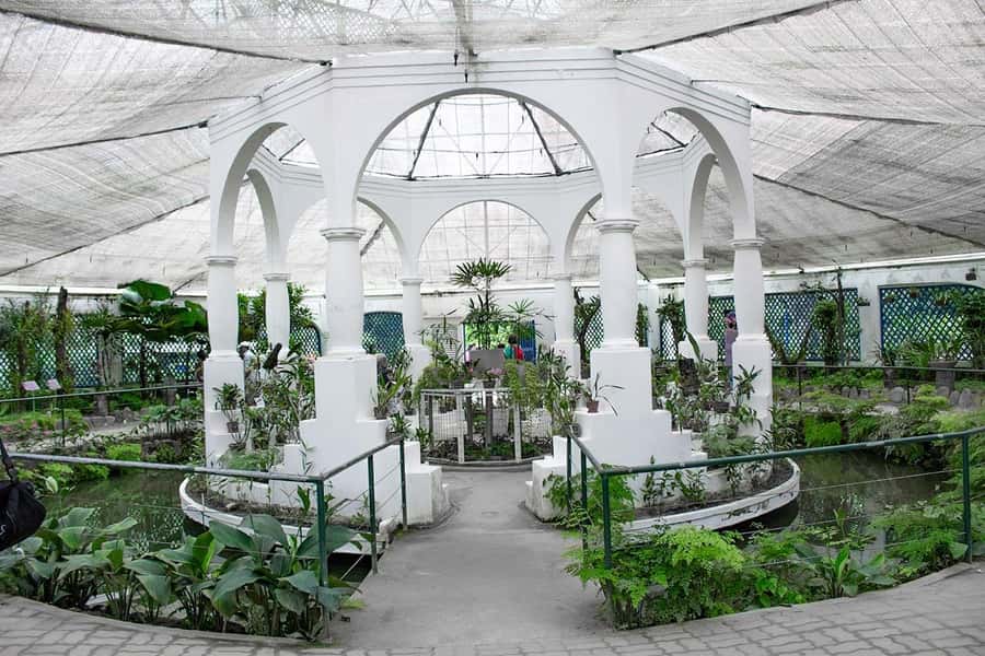 Rio de Janeiro: Botanical Garden & Tijuca Forest Guided Tour - Practical Preparation for the Jeep and Garden