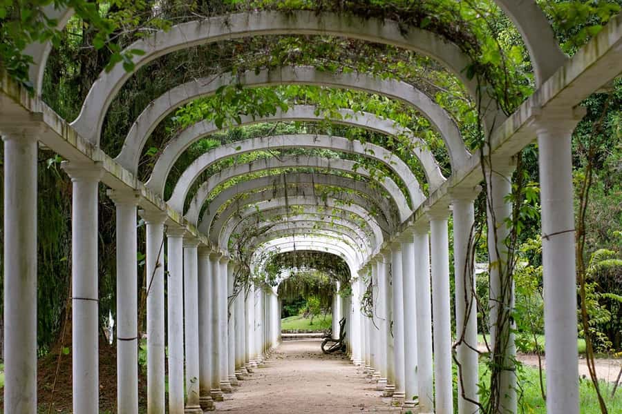 Rio de Janeiro: Botanical Garden & Tijuca Forest Guided Tour - My Booking Advice