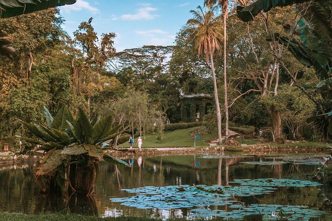 Rio de Janeiro Botanical Garden & Tijuca Forest Tour - The Botanical Garden: Rio’s calmest hour