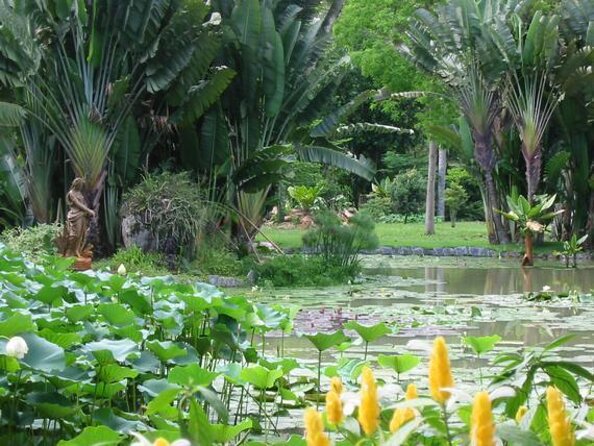 Rio de Janeiro Botanical Garden Tour - Why Rio’s Botanical Garden is worth your time