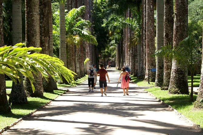 Rio de Janeiro Botanical Garden Tour - The Avenue of Royal Palms