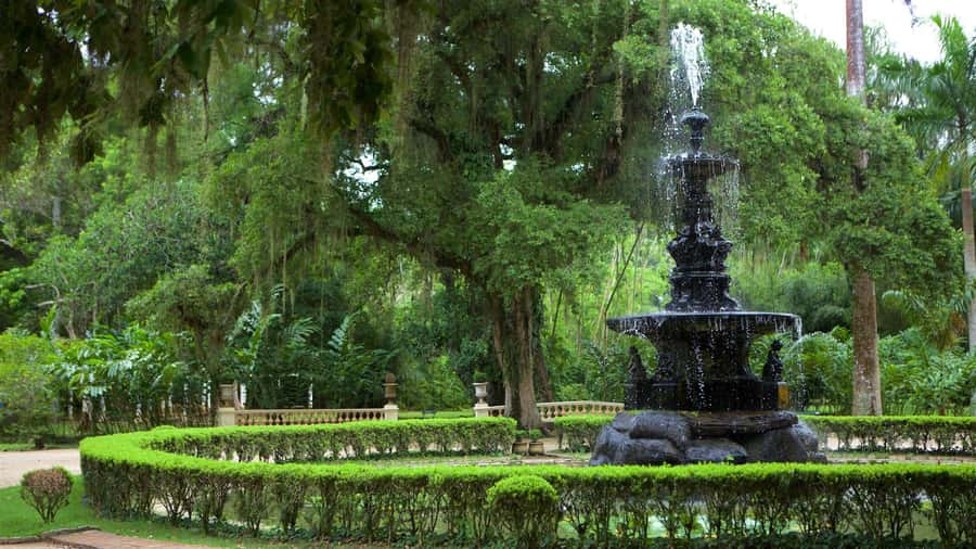 Rio de Janeiro: Tijuca National Park & Botanic Garden Tour - Mayrink Chapel brings a human story to the trees